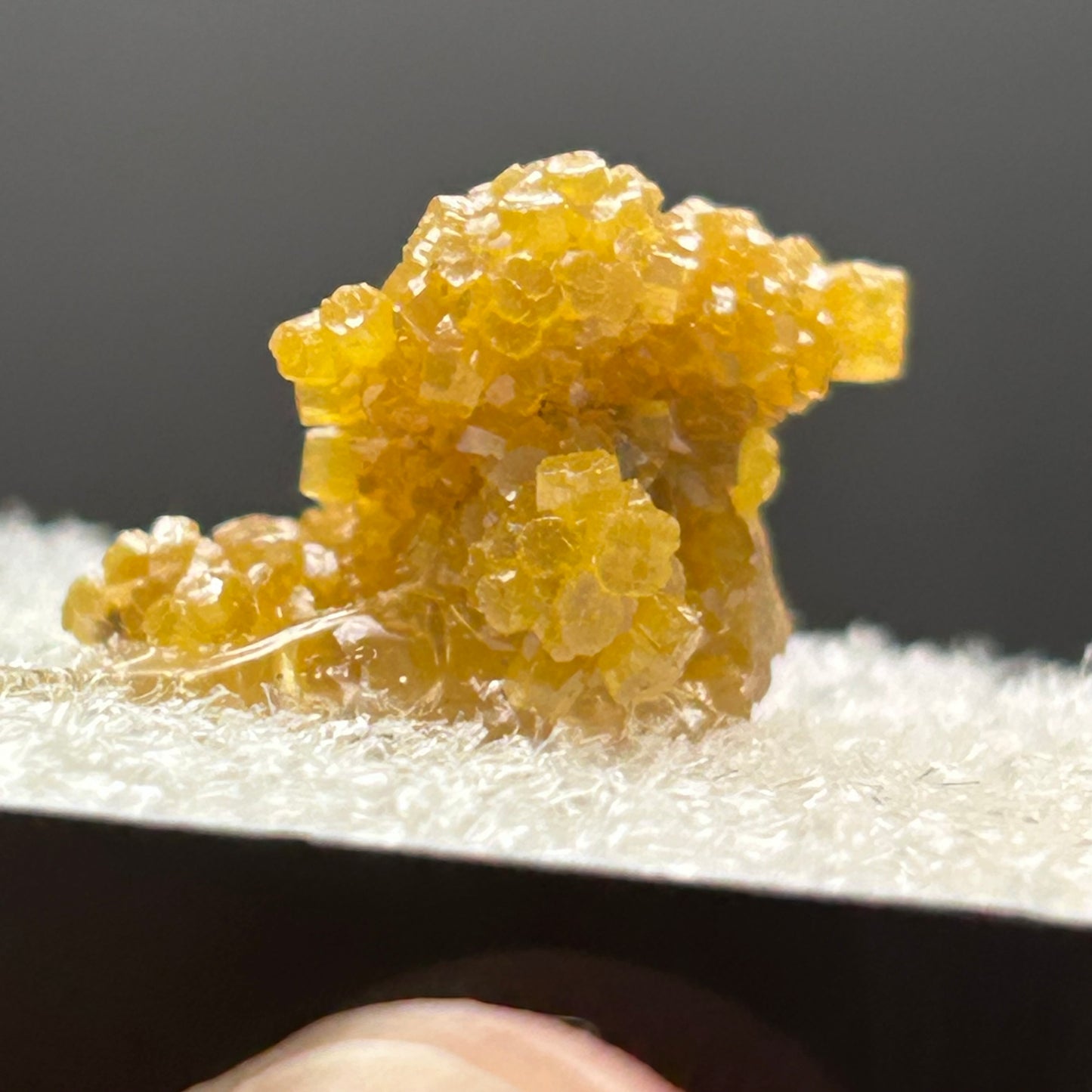 Pyromorphite - Bunker Hill Mine, Idaho