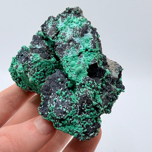 Chrysocolla - Planet Mine