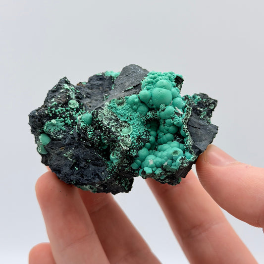 Chrysocolla - Planet Mine