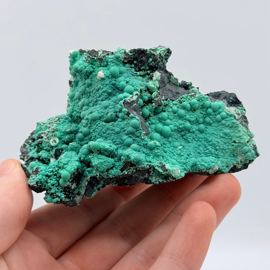 Chrysocolla - Planet Mine