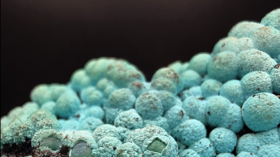 EARTH’S EXTRAORDINARY
MASTERPIECES, UNVAULTED.