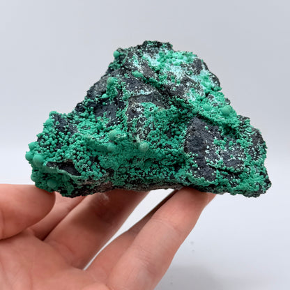 Chrysocolla - Planet Mine