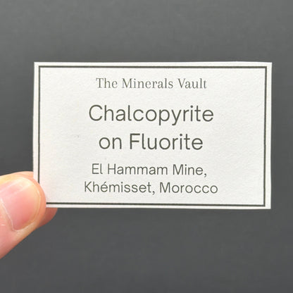 Hand holding a Mineral ID Card with text against a dark background