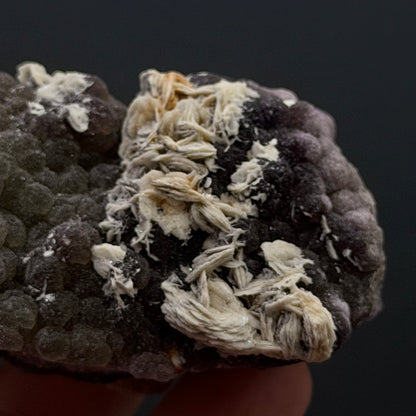 Botryoidal Fluorite with Barite - Colorado