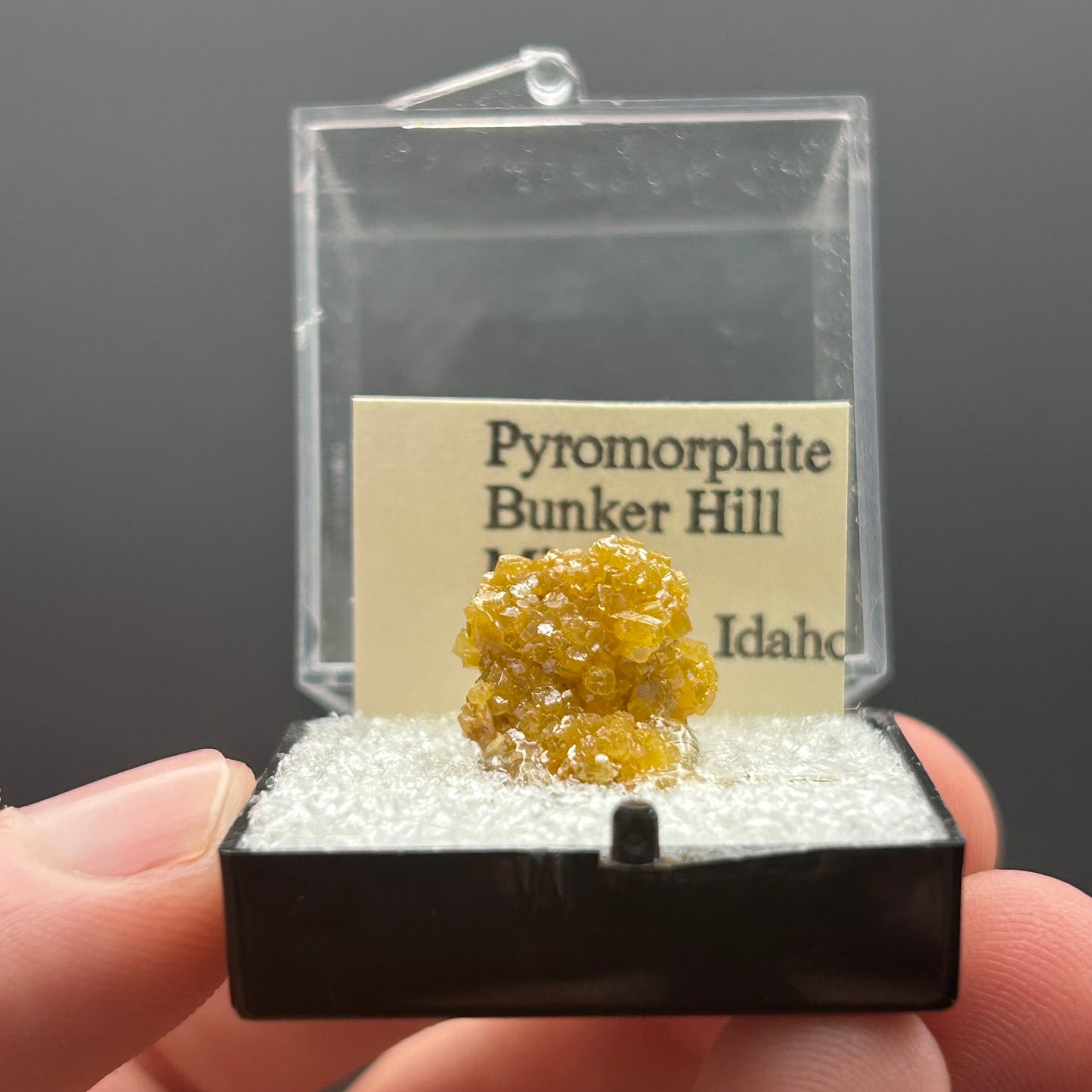 Pyromorphite - Bunker Hill Mine, Idaho