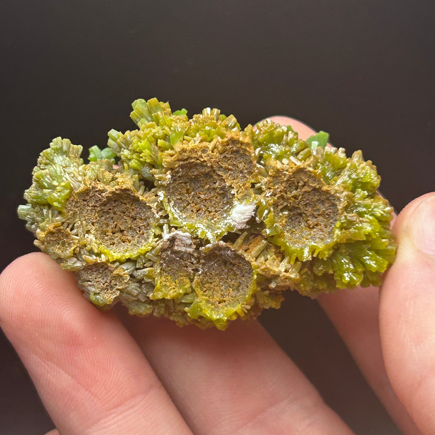 Pyromorphite - Les Farges, France