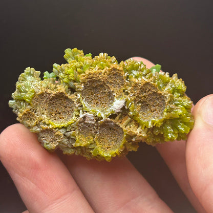 Pyromorphite - Les Farges, France