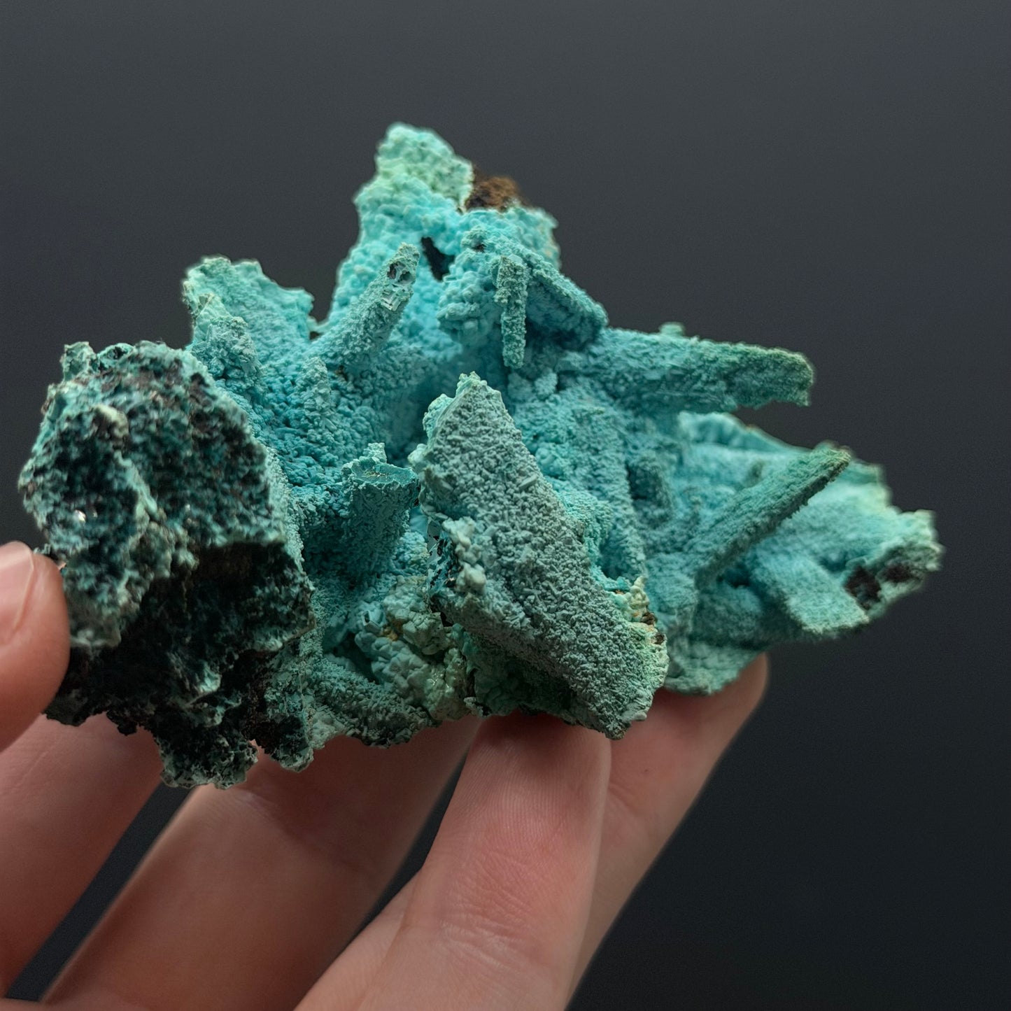 Chrysocolla pseudomorph after Gypsum - DRC