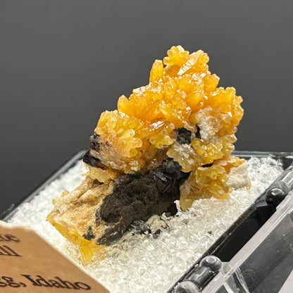 Pyromorphite - Bunker Hill Mine, Idaho
