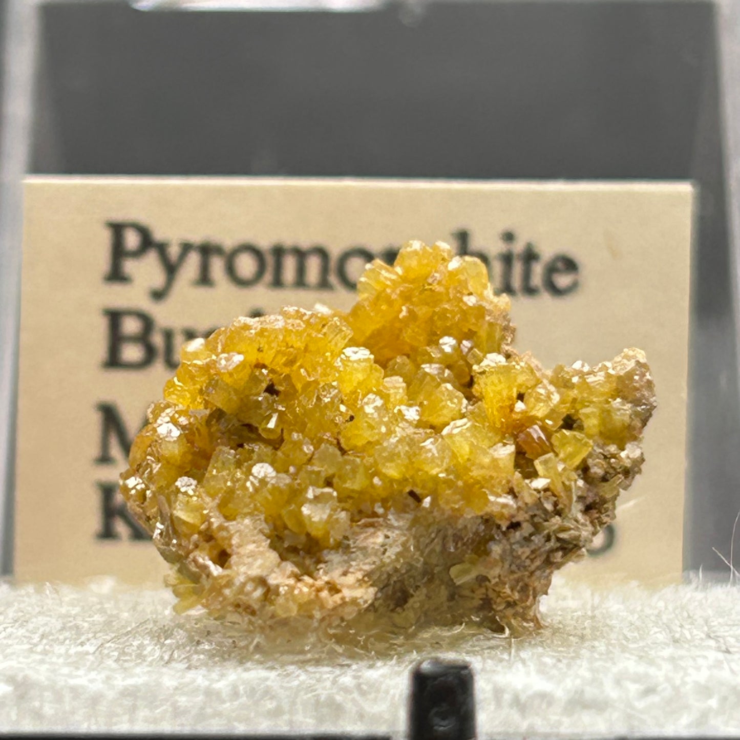 Pyromorphite - Bunker Hill Mine, Idaho