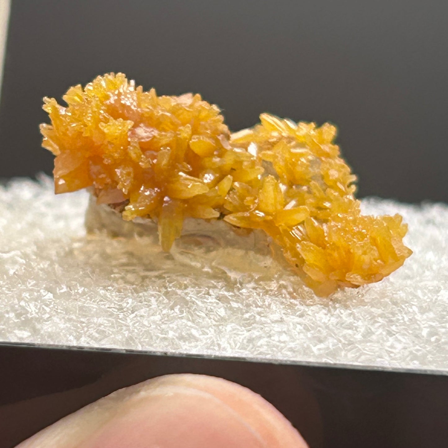 Pyromorphite - Bunker Hill Mine, Idaho