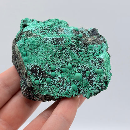 Chrysocolla - Planet Mine