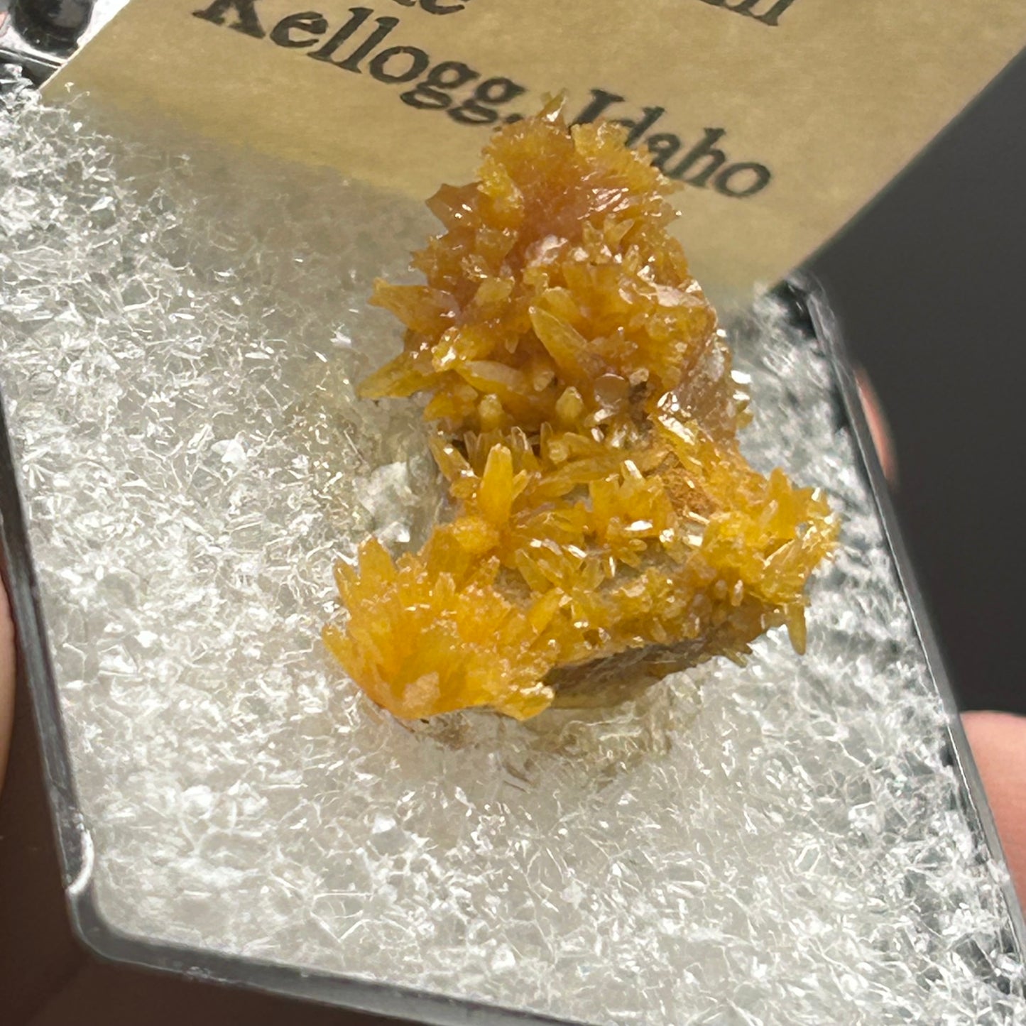Pyromorphite - Bunker Hill Mine, Idaho