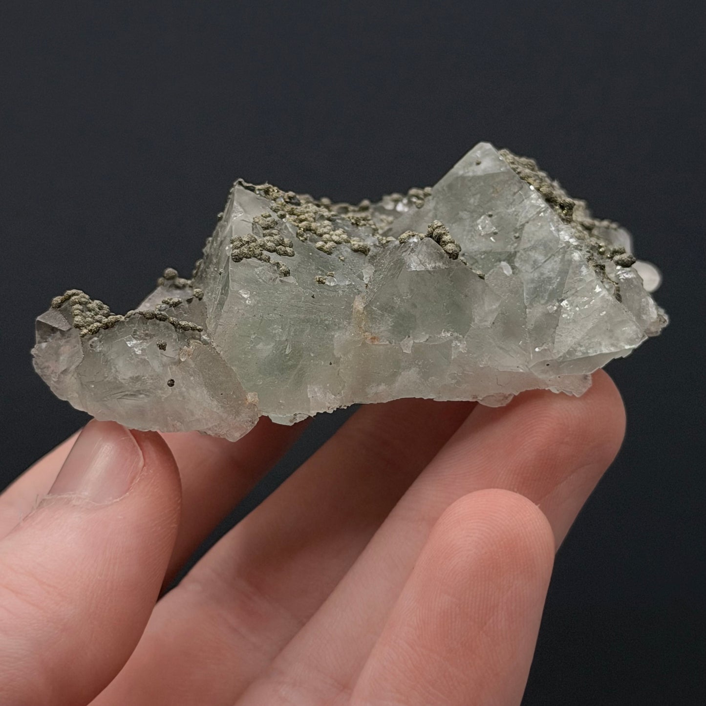 Chalcopyrite on Fluorite - Morocco
