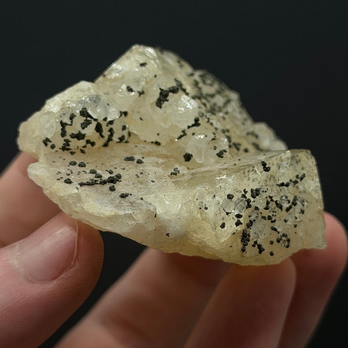 Chalcopyrite on Fluorite - Morocco