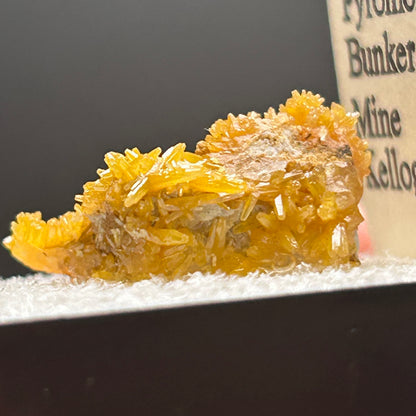 Pyromorphite - Bunker Hill Mine, Idaho