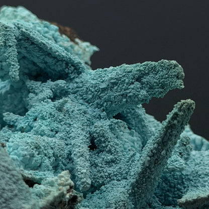 Chrysocolla pseudomorph after Gypsum - DRC