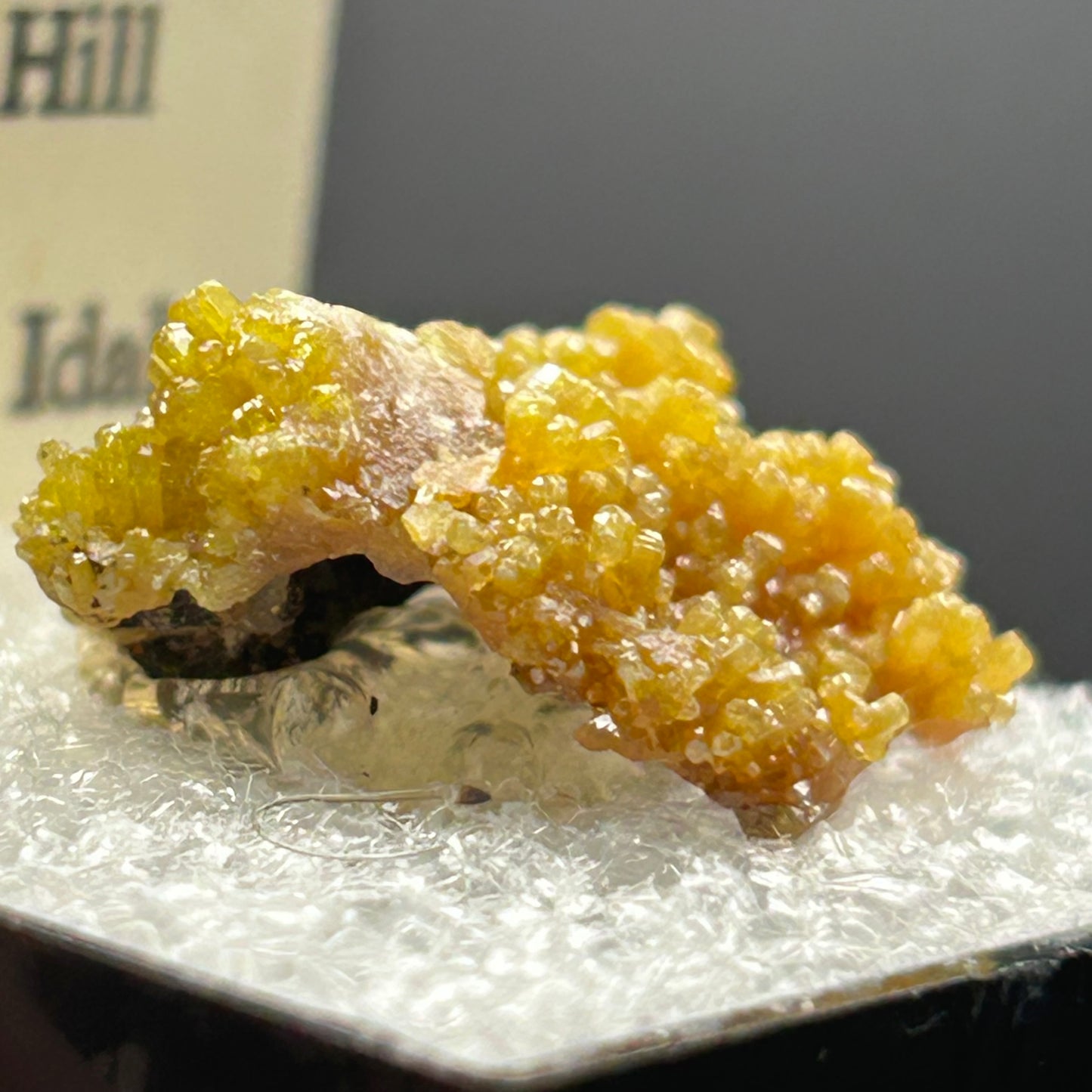 Pyromorphite - Bunker Hill Mine, Idaho