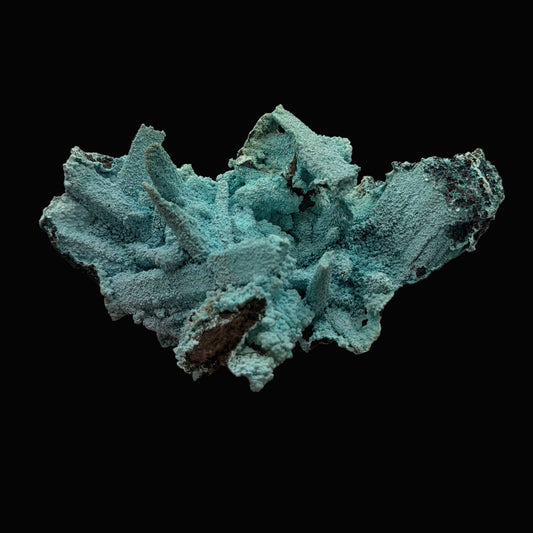 Chrysocolla pseudomorph after Gypsum - DRC