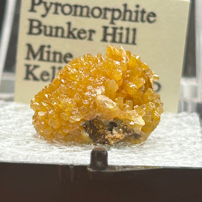 Pyromorphite - Bunker Hill Mine, Idaho