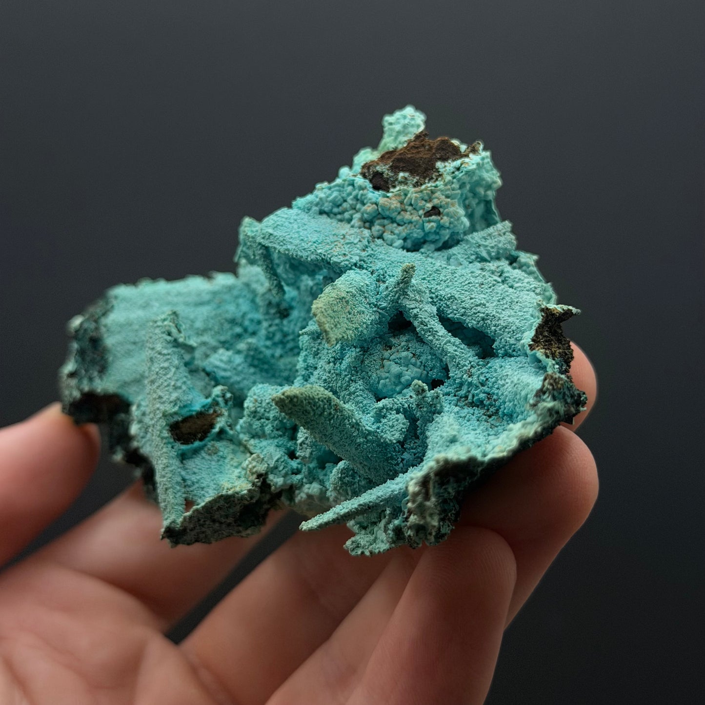 Chrysocolla pseudomorph after Gypsum - DRC