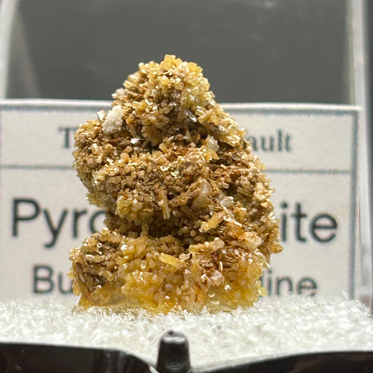 Pyromorphite - Bunker Hill Mine, Idaho