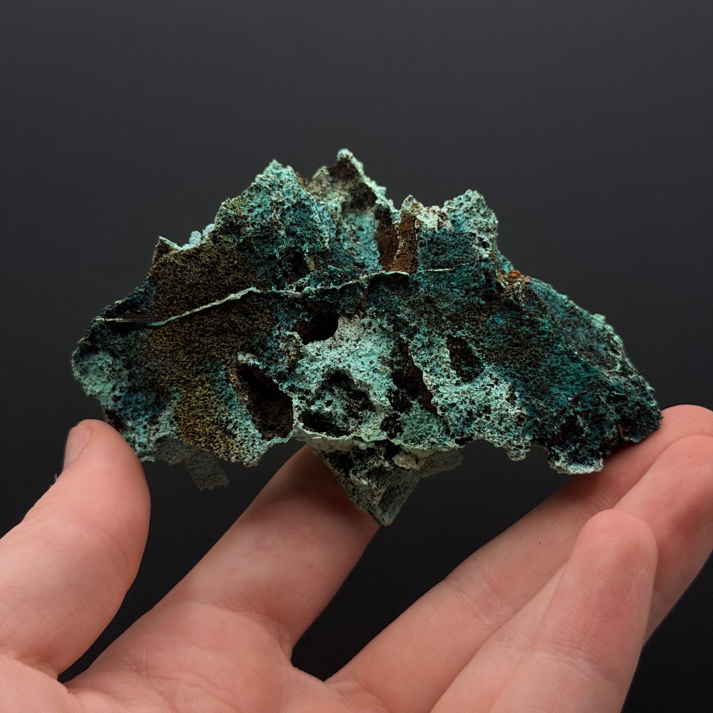 Chrysocolla pseudomorph after Gypsum - DRC