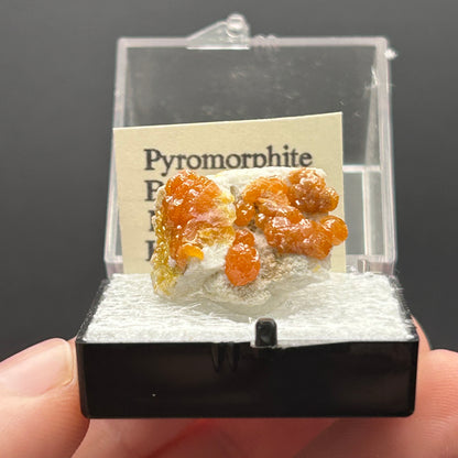 Pyromorphite - Bunker Hill Mine, Idaho