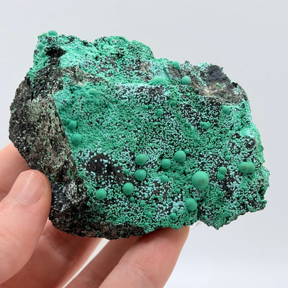 Chrysocolla - Planet Mine