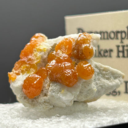 Pyromorphite - Bunker Hill Mine, Idaho