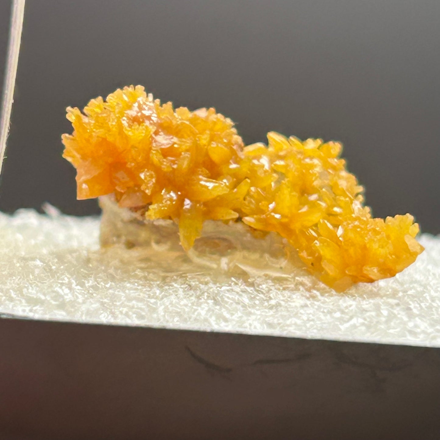 Pyromorphite - Bunker Hill Mine, Idaho
