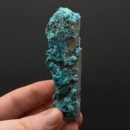 Chrysocolla on Quartz - Tentadora Mine, Peru