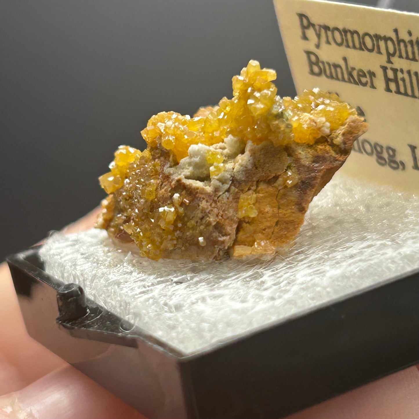 Pyromorphite - Bunker Hill Mine, Idaho