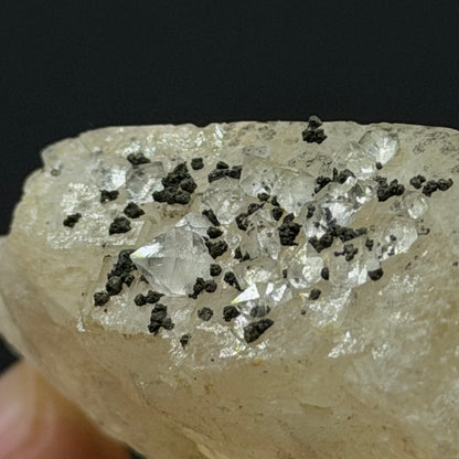 Chalcopyrite on Fluorite - Morocco