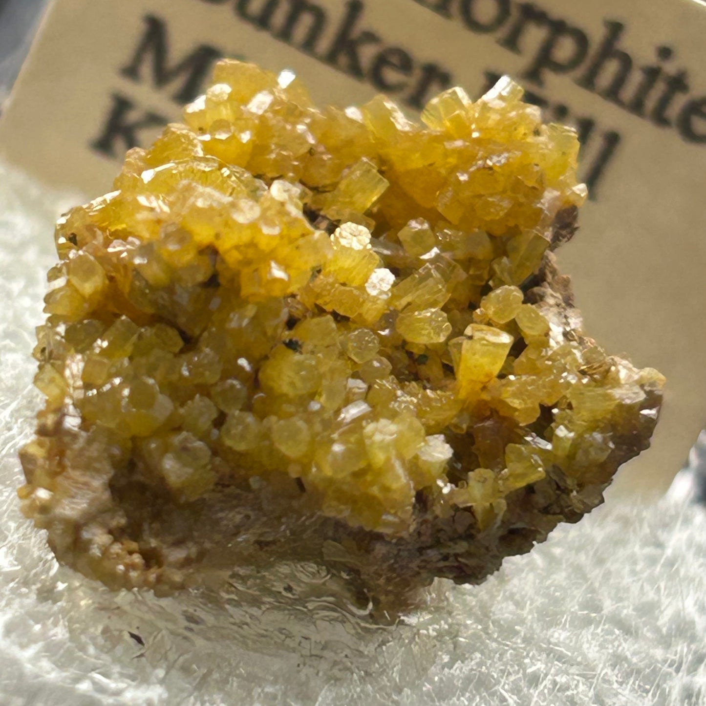 Pyromorphite - Bunker Hill Mine, Idaho