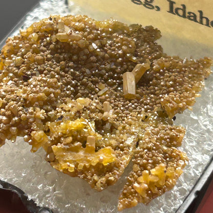 Pyromorphite - Bunker Hill Mine, Idaho