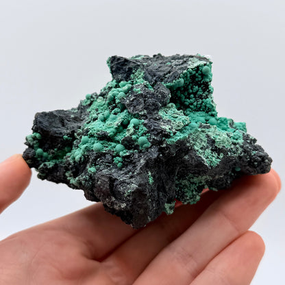 Chrysocolla - Planet Mine