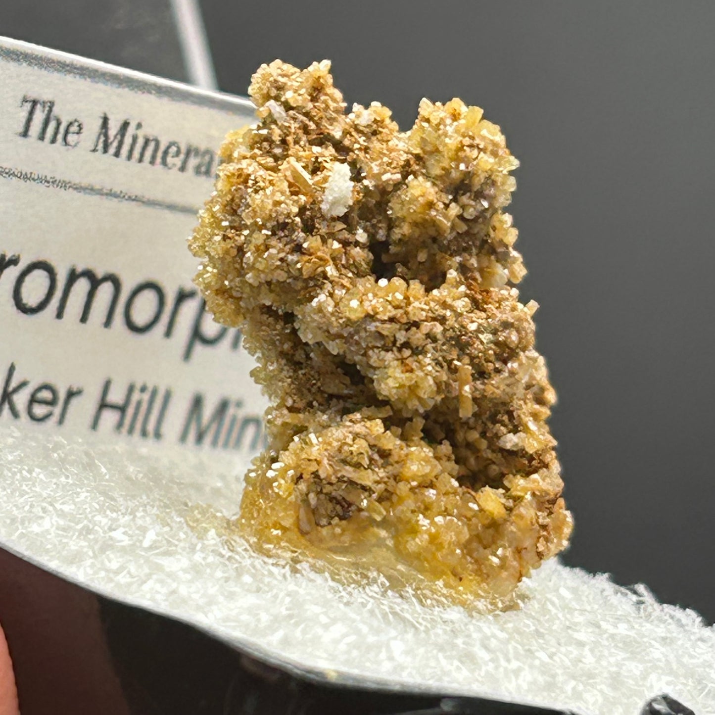 Pyromorphite - Bunker Hill Mine, Idaho