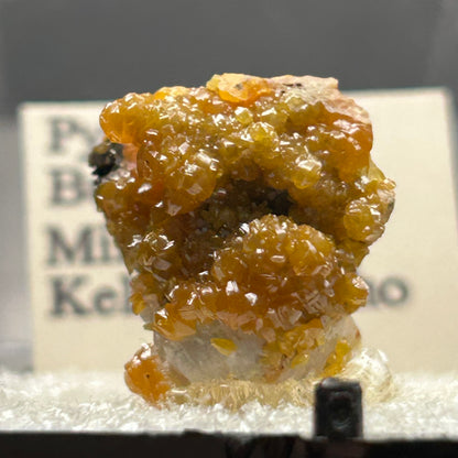 Pyromorphite - Bunker Hill Mine, Idaho