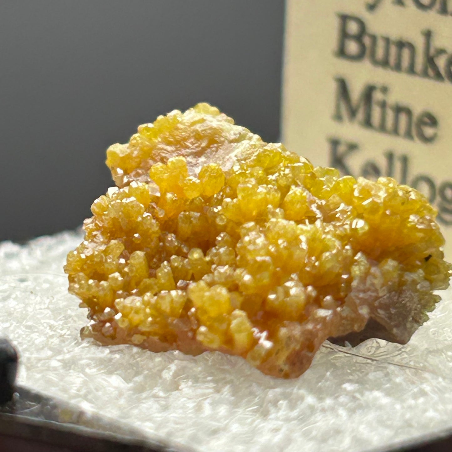 Pyromorphite - Bunker Hill Mine, Idaho
