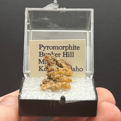 Pyromorphite - Bunker Hill Mine, Idaho