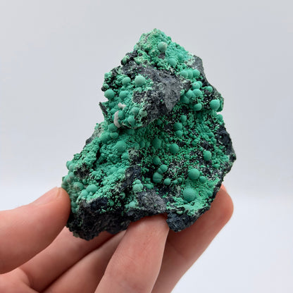 Chrysocolla - Planet Mine