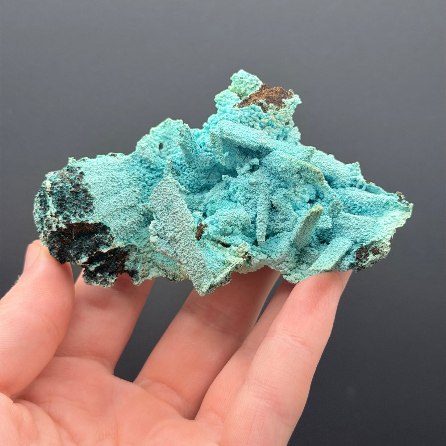 Chrysocolla pseudomorph after Gypsum - DRC