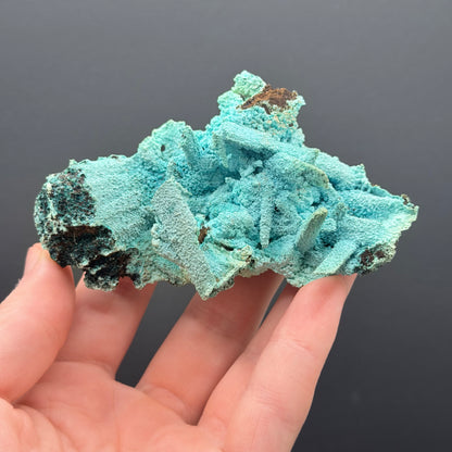 Chrysocolla pseudomorph after Gypsum - DRC