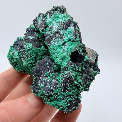 Chrysocolla - Planet Mine