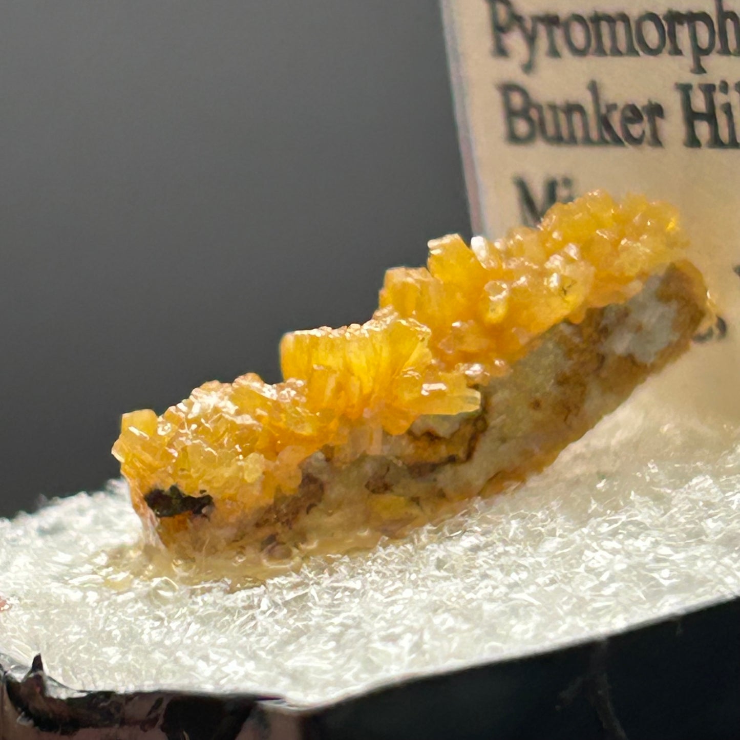Pyromorphite - Bunker Hill Mine, Idaho