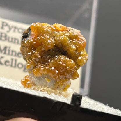 Pyromorphite - Bunker Hill Mine, Idaho