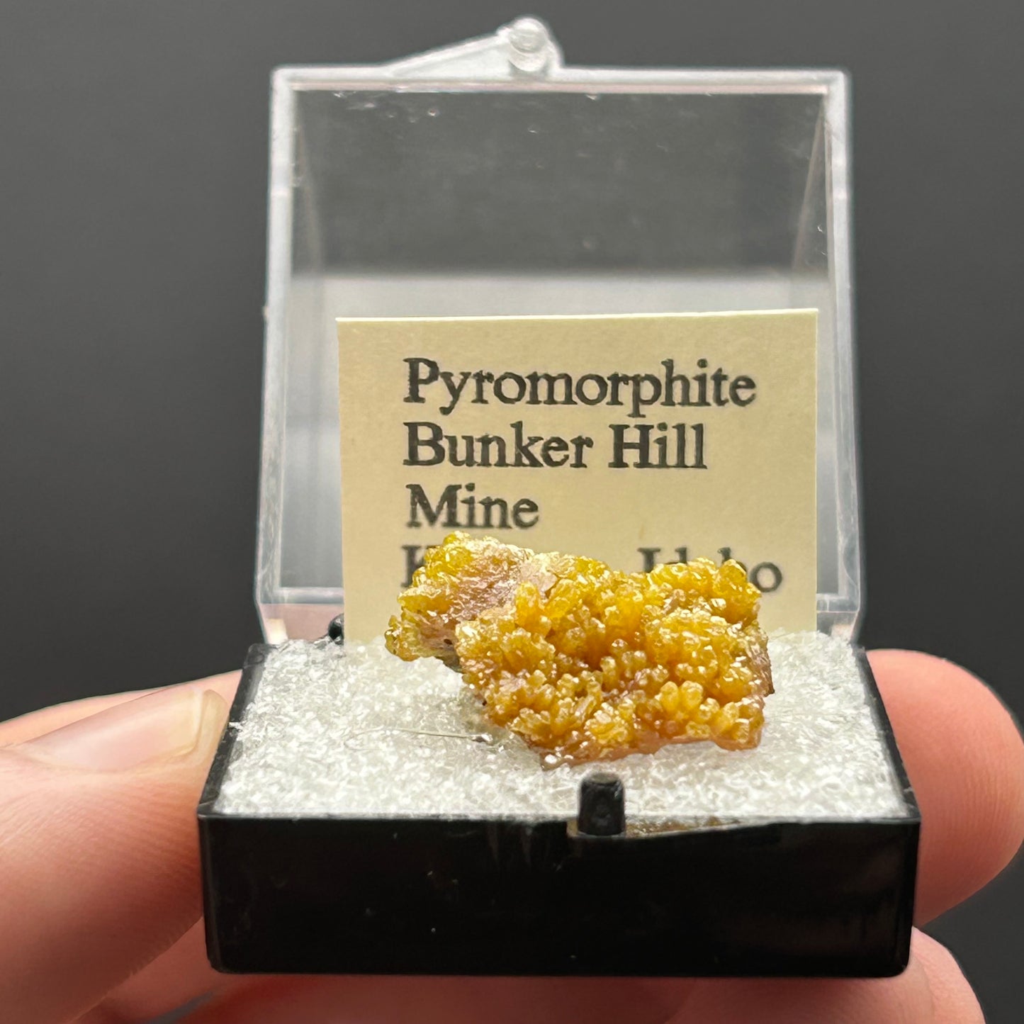 Pyromorphite - Bunker Hill Mine, Idaho