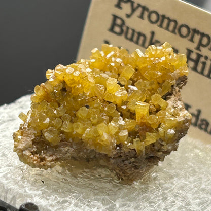 Pyromorphite - Bunker Hill Mine, Idaho