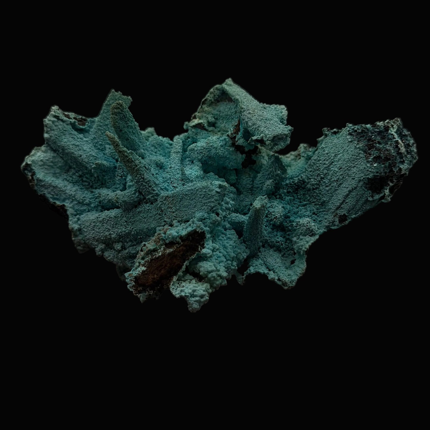Chrysocolla pseudomorph after Gypsum - DRC